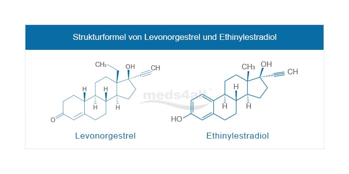 östrogen und gestagen