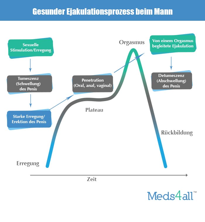 Vorzeitige Ejakulation (Ejaculatio Praecox) verhindern