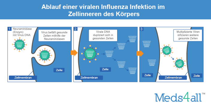 Influenza (Grippe) Medikamente & Therapie • Meds4all®